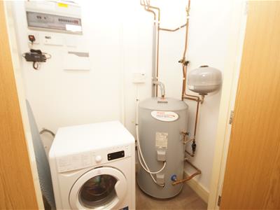 Picture 8